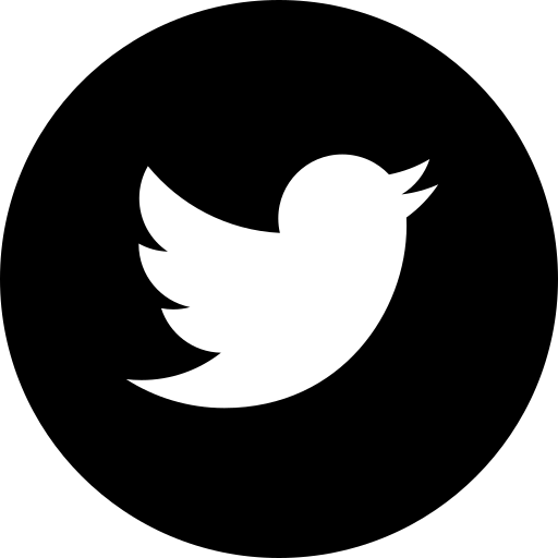 Boton Twitter